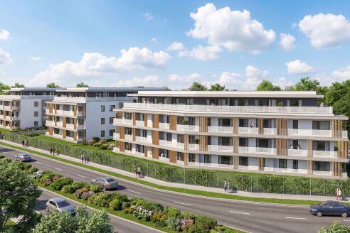 Kiserdő projekt
