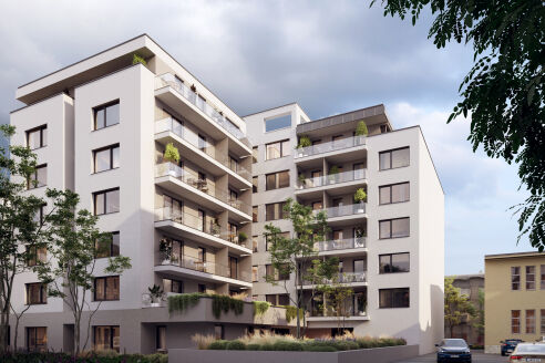 Bíbor6