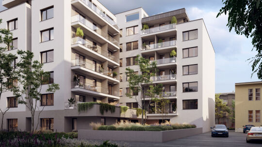 Project Leírás