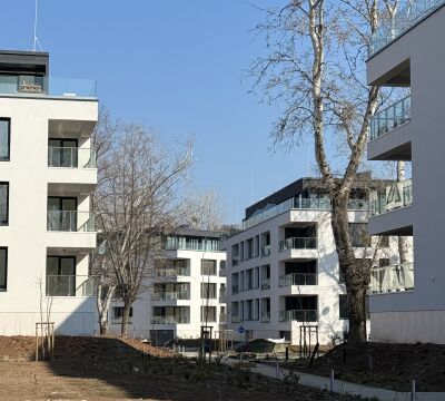 Lake Resort 