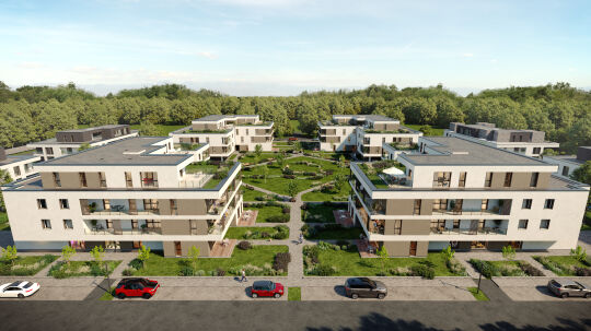 Project Leírás