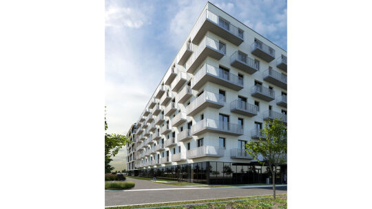 Project Leírás
