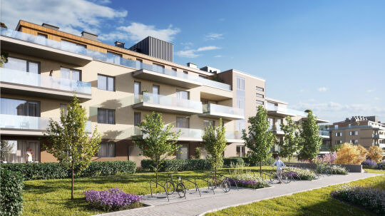 Project Leírás