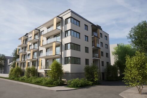 Béke 31
