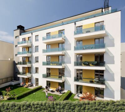Kőris 19